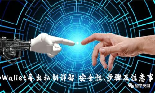 tpWallet导出私钥详解：安全性、步骤及注意事项