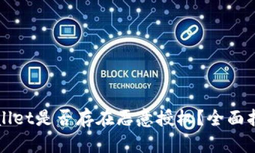 如何查看tpWallet是否存在恶意授权？全面指南与解决方案