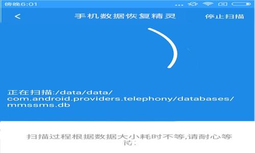 如何选择和使用狗狗币加密钱包：全面指南