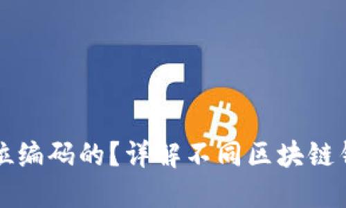 区块链钱包地址是几位编码的？详解不同区块链钱包地址的格式与长度