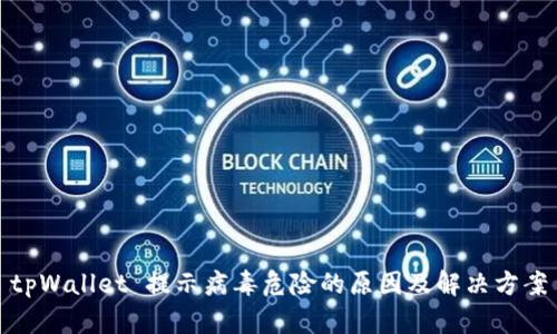 tpWallet 提示病毒危险的原因及解决方案