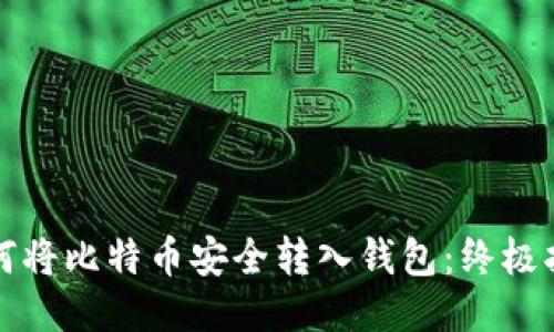 如何将比特币安全转入钱包：终极指南