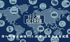 深入理解区块链825：技术、应用与未来发展