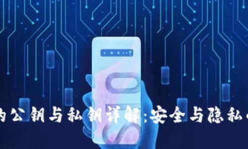 区块链中的公钥与私钥详解：安全与隐私的双重保障