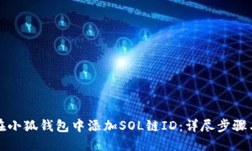 如何在小狐钱包中添加SOL链ID：详尽步骤与指导