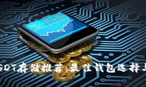 2023年USDT存储推荐：最佳钱包选择与安全指南