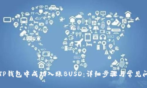 如何在TP钱包中成功入账BUSD：详细步骤与常见问题解析