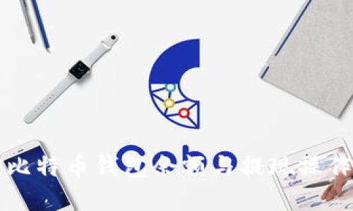 监控比特币钱包余额与提现操作详解
