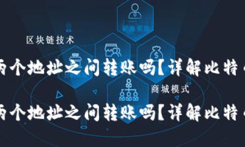 比特币钱包能在两个地址之间转账吗？详解比特币转账原理与实践

比特币钱包能在两个地址之间转账吗？详解比特币转账原理与实践