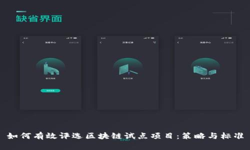 如何有效评选区块链试点项目：策略与标准