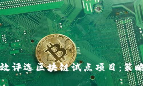 如何有效评选区块链试点项目：策略与标准