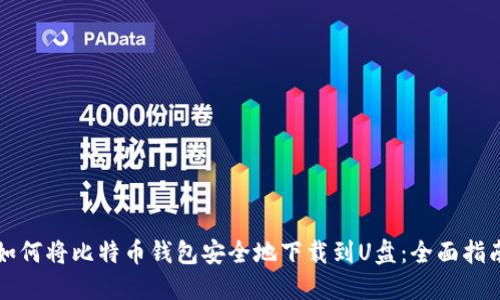 如何将比特币钱包安全地下载到U盘：全面指南