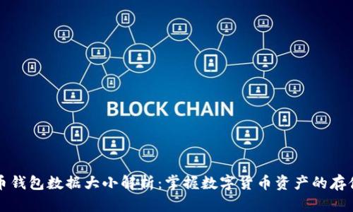 比特币钱包数据大小解析：掌握数字货币资产的存储需求