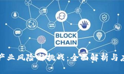 区块链产业风险与挑战：全面解析与应对策略