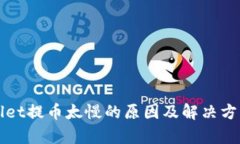tpWallet提币太慢的原因及解决方法分析