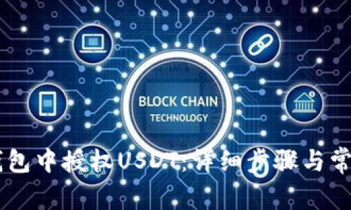 如何在XF钱包中授权USDT：详细步骤与常见问题解析