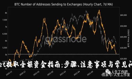 tpWallet提取全额资金指南：步骤、注意事项与常见问题解答
