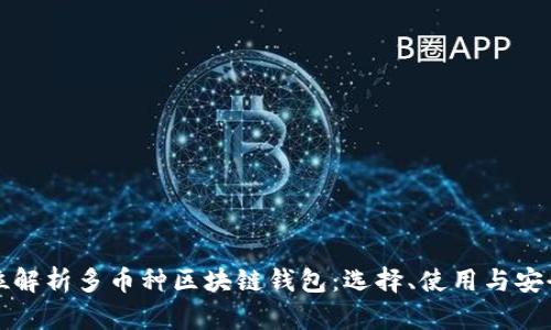 全方位解析多币种区块链钱包：选择、使用与安全指南