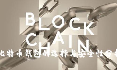 比特币钱包的选择与安全性分析