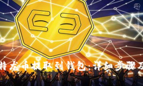 如何将比特龙币提取到钱包：详细步骤及注意事项