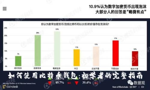 如何使用比特币钱包：初学者的完整指南