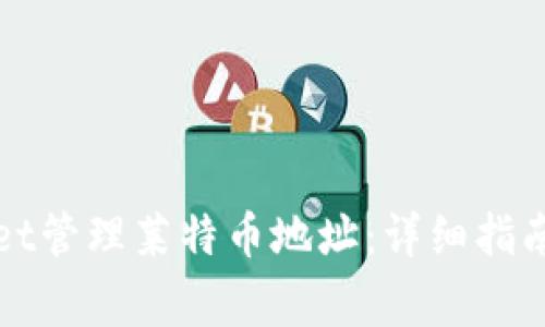 如何使用tpWallet管理莱特币地址：详细指南与常见问题解答