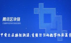 甲骨文区块链溯源：重塑信任的数字化新篇章