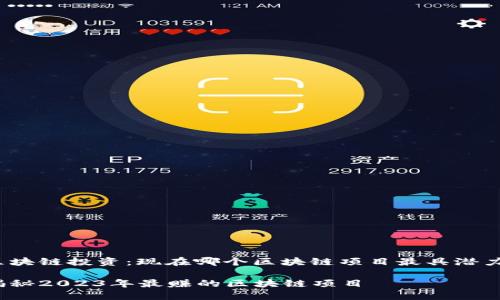 区块链投资：现在哪个区块链项目最具潜力？

揭秘2023年最赚的区块链项目