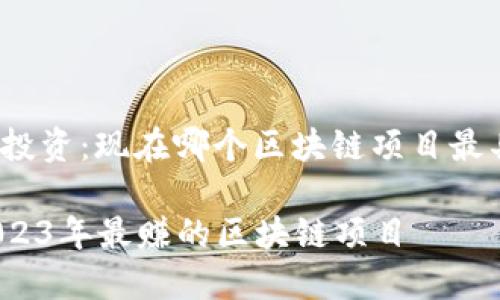 区块链投资：现在哪个区块链项目最具潜力？

揭秘2023年最赚的区块链项目