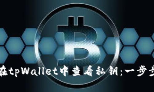 如何在tpWallet中查看私钥：一步步指南