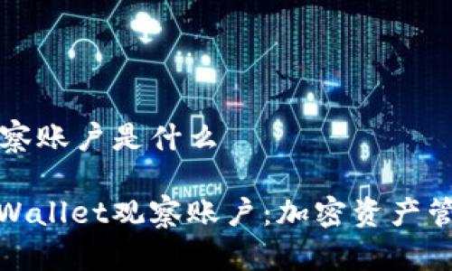 tpWallet观察账户是什么

全面解析tpWallet观察账户：加密资产管理的新趋势