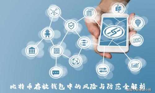   
比特币存放钱包中的风险与防范全解析