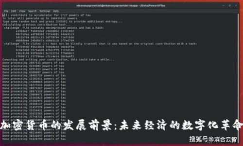 加密货币的发展前景：未来经济的数字化革命