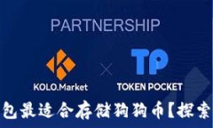  哪种冷钱包最适合存储狗