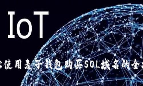 轻松使用麦子钱包购买SOL域名的全攻略