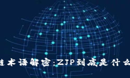 区块链术语解密：ZJP到底是什么意思？