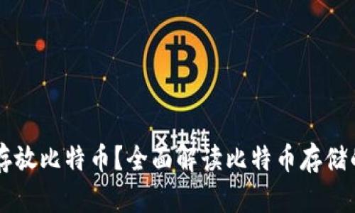 Tokenim：能否存放比特币？全面解读比特币存储的选择与安全性