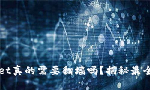 玩tpWallet真的需要翻墙吗？揭秘最全使用指南