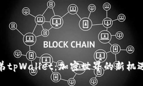 探索兄弟tpWallet：加密世界的新机遇与挑战
