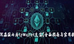 如何在国内为tpWallet充值？全面指南与实用技巧
