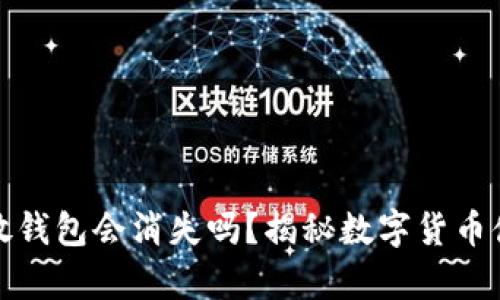 狗狗币不放钱包会消失吗？揭秘数字货币储存的奥秘