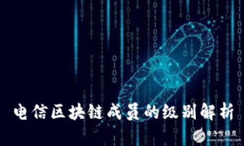 电信区块链成员的级别解析