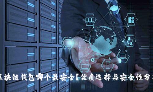 区块链钱包哪个最安全？优质选择与安全性分析