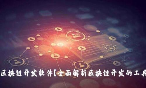 什么是区块链开发软件？全面解析区块链开发的工具与平台