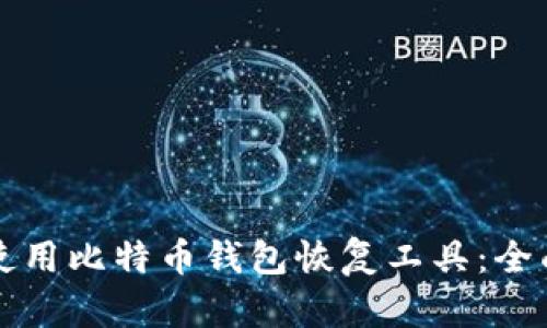 如何使用比特币钱包恢复工具：全面指南