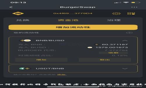 如何提升比特币钱包额度：全面指南与实用技巧