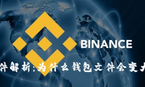 以太坊钱包文件解析：为什么钱包文件会变大以及如何管理