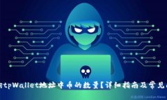 如何查询tpWallet地址中币的