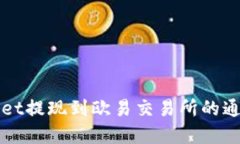 如何将tpWallet提现到欧易交易所的通道及操作指南