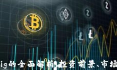 2023年虚拟币Pig的全面解析